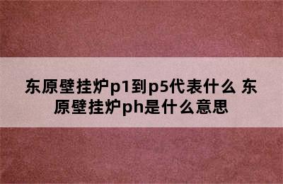 东原壁挂炉p1到p5代表什么 东原壁挂炉ph是什么意思